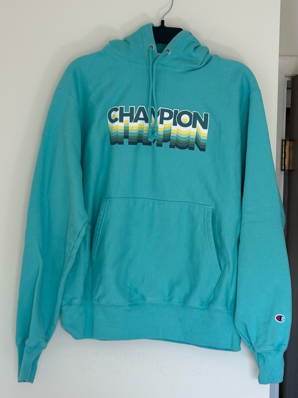 Champion Reverse Weave Ink Shadow Gradient Logo Hoodie Portal Teal | Size M